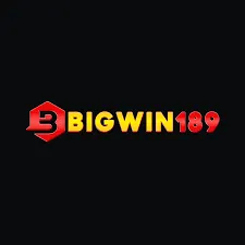BIGWIN189 - Aplikasi Dropship Terbaik untuk Belanja Praktis